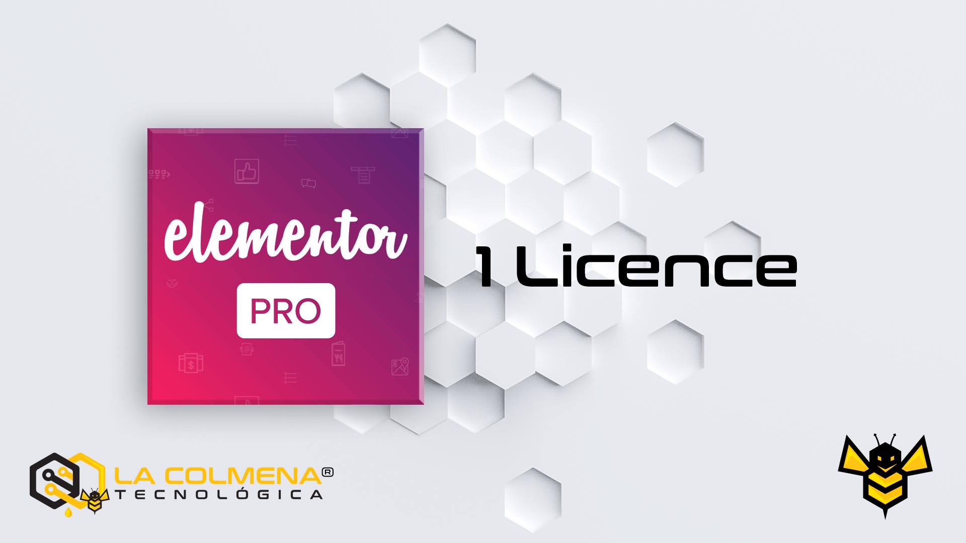 1 Licence Pro Elementor