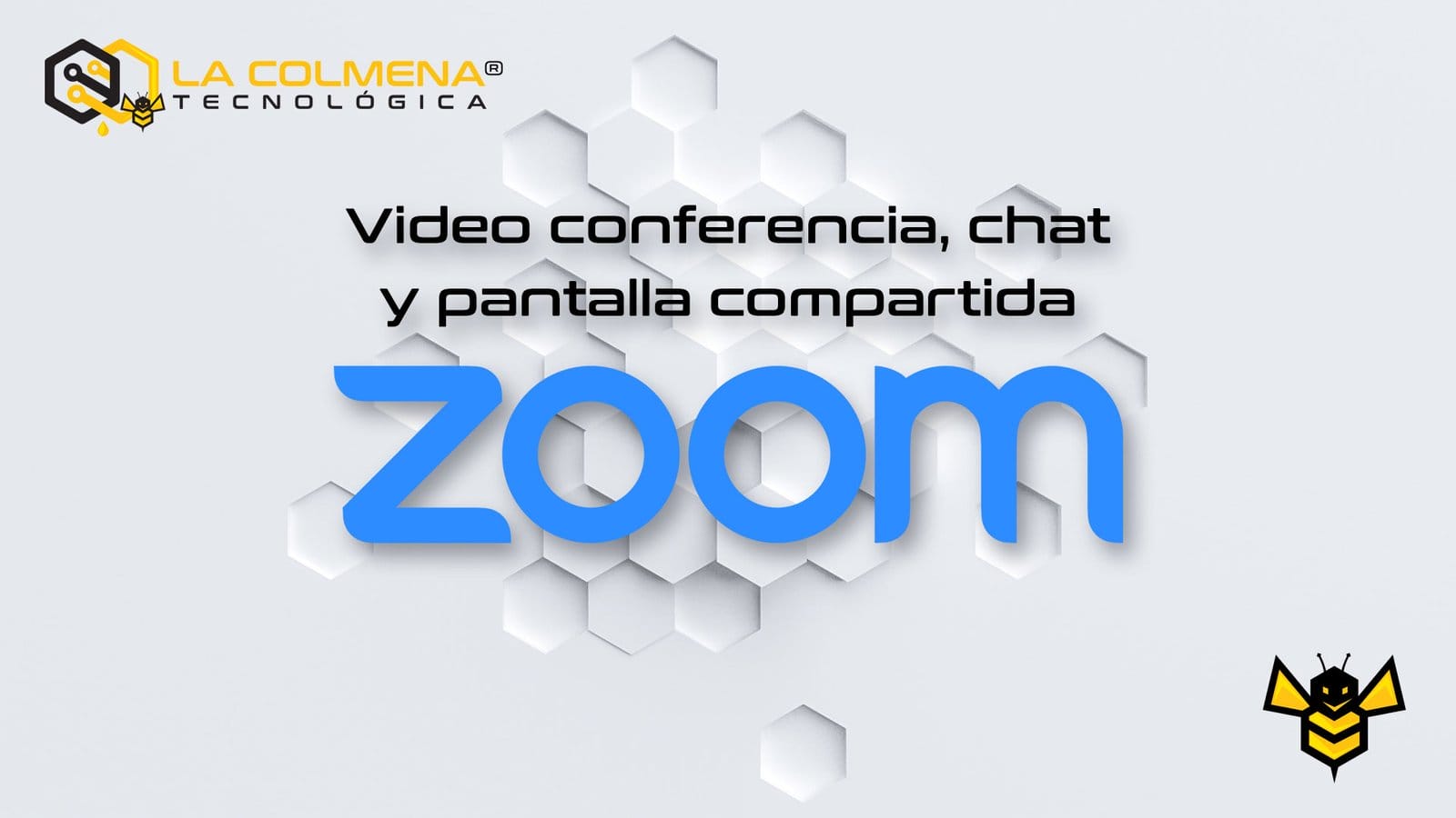 Curso de Zoom