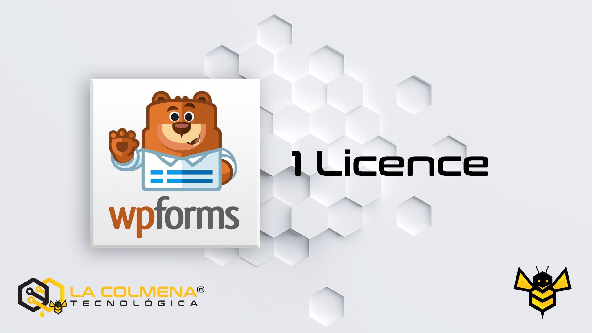 1 Licence WPForms