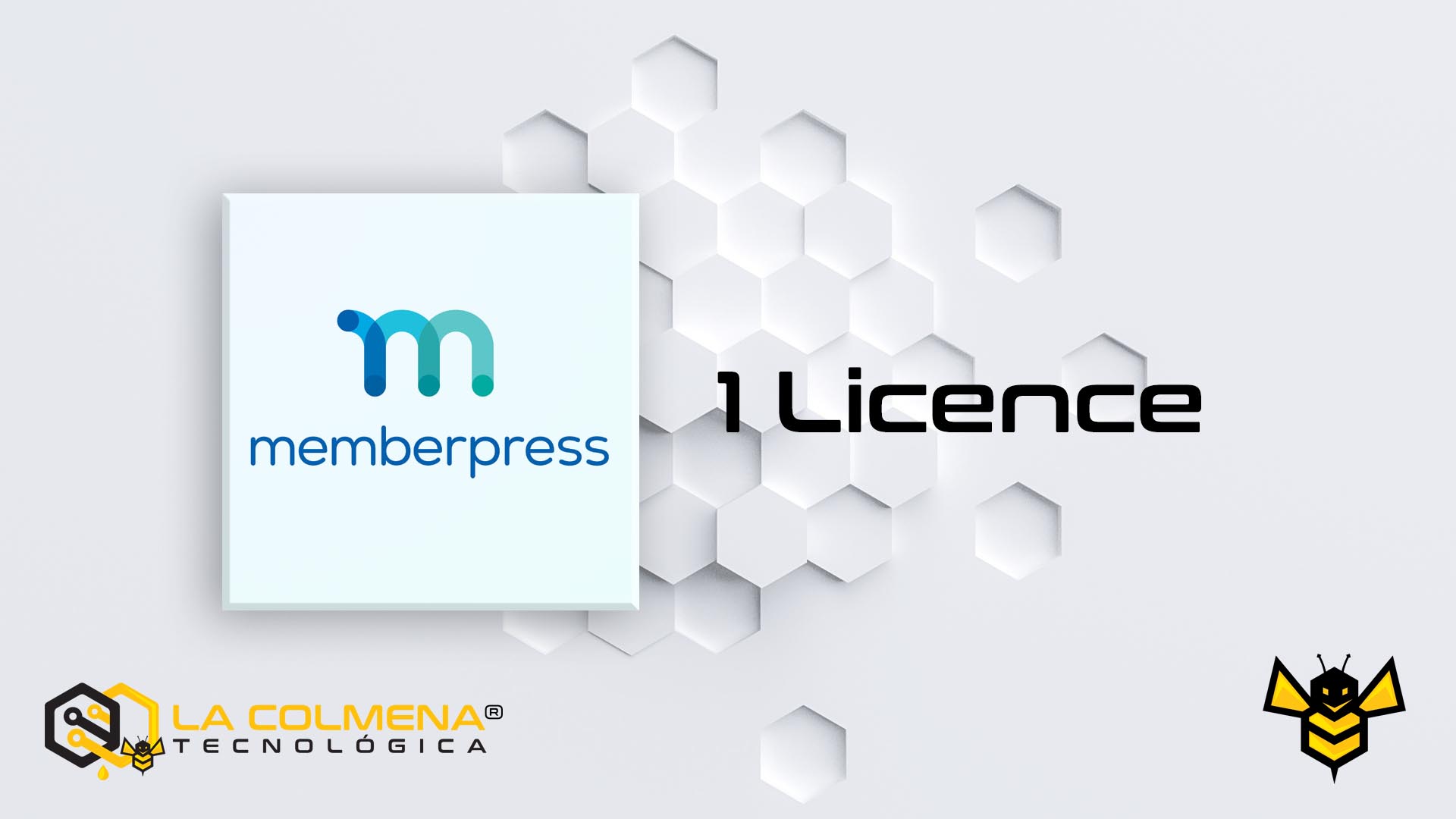 1 licence MemberPress