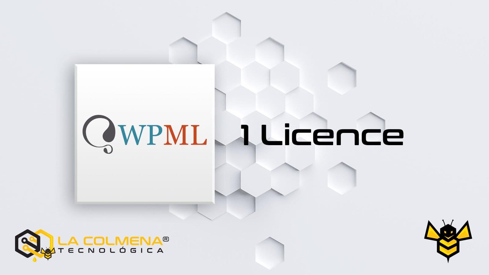 1 Licence WPML