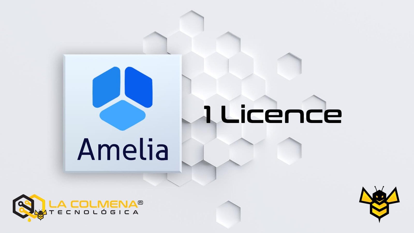 1 licence de Amelia