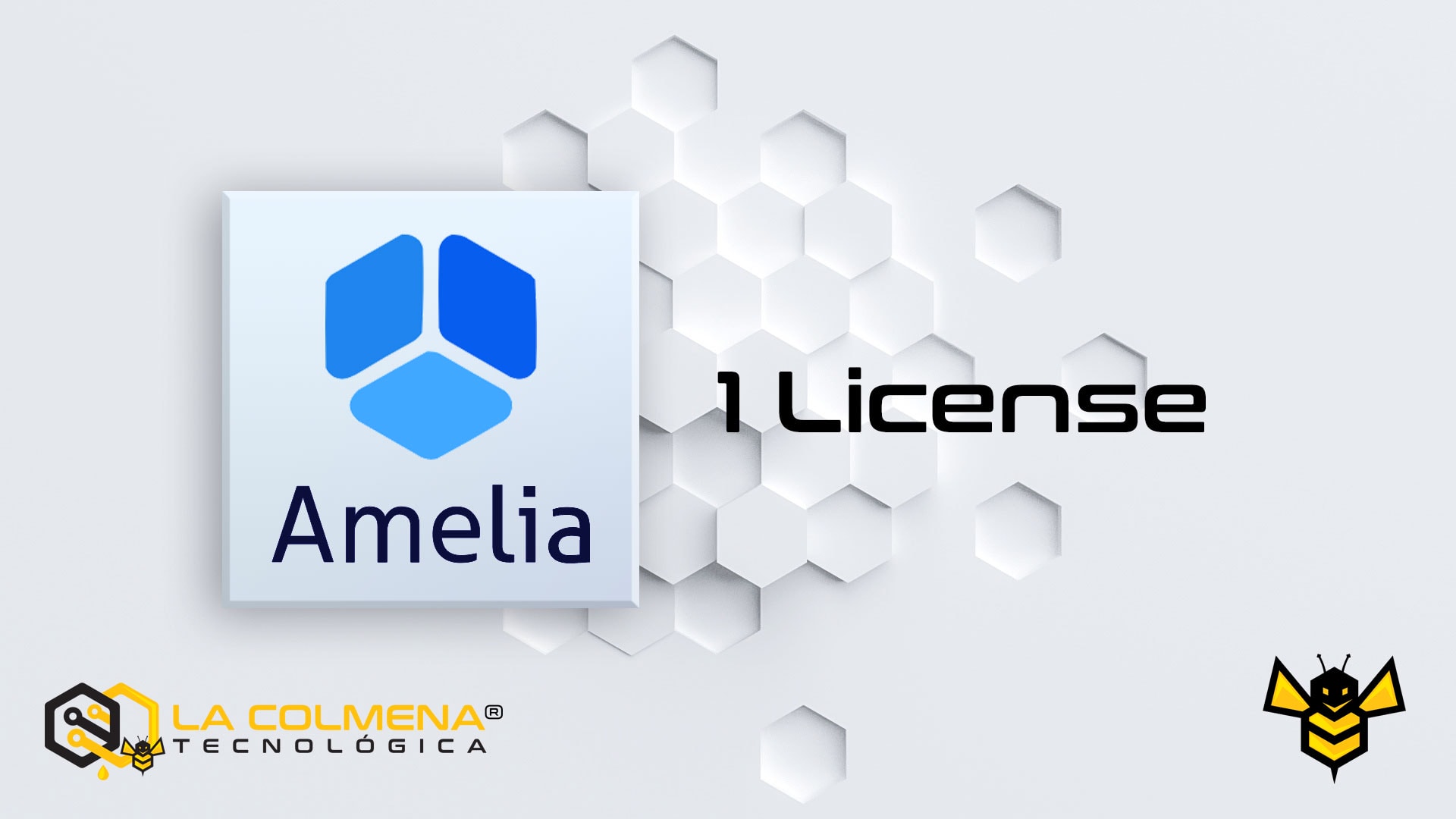 1 Amelia License
