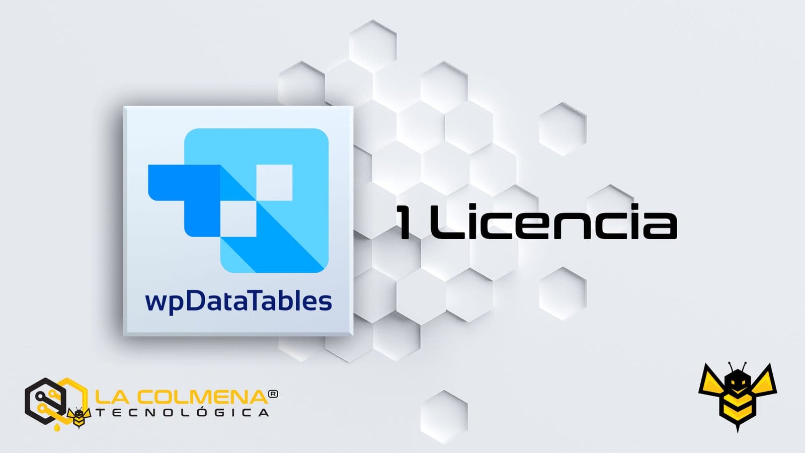 1 Licencia de wpDataTables