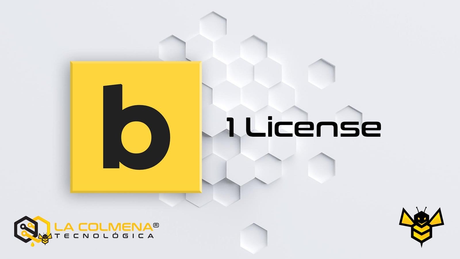 1 Bricks Builder License