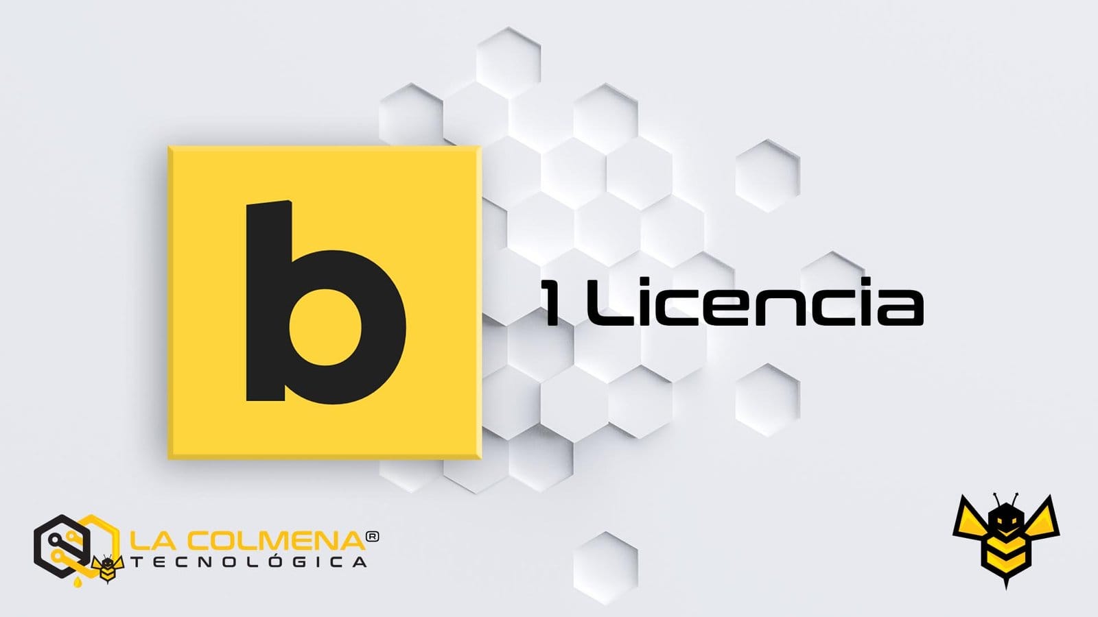 1 Licencia de Bricks Builder